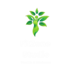 fitzonestudio